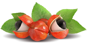 Guarana extract